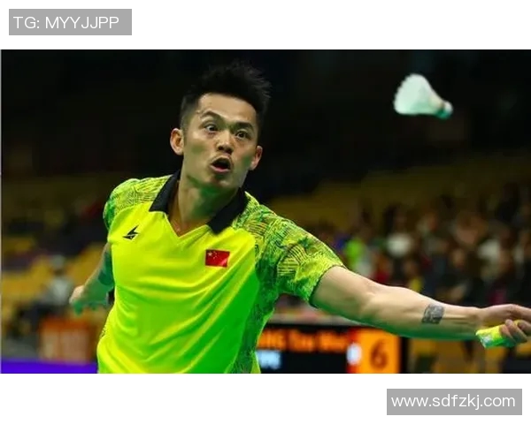 赛后分析南京羽毛球队与北京羽毛球队的战术意识与表现对比